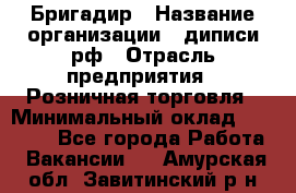 Бригадир › Название организации ­ диписи.рф › Отрасль предприятия ­ Розничная торговля › Минимальный оклад ­ 35 000 - Все города Работа » Вакансии   . Амурская обл.,Завитинский р-н